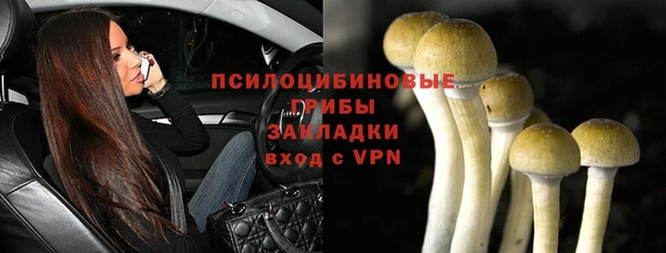 прущие крисы Верея