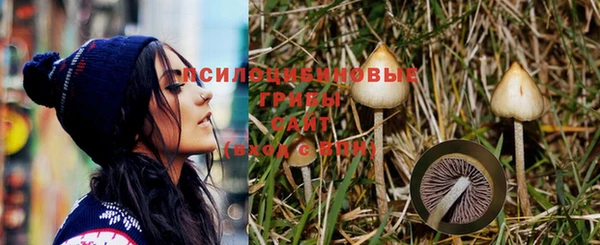 прущие крисы Верея