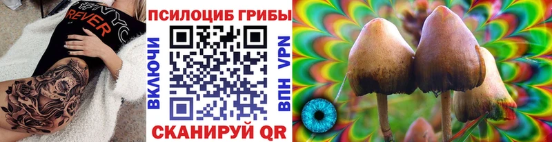 Галлюциногенные грибы Cubensis  купить  цена  гидра вход  Артём 